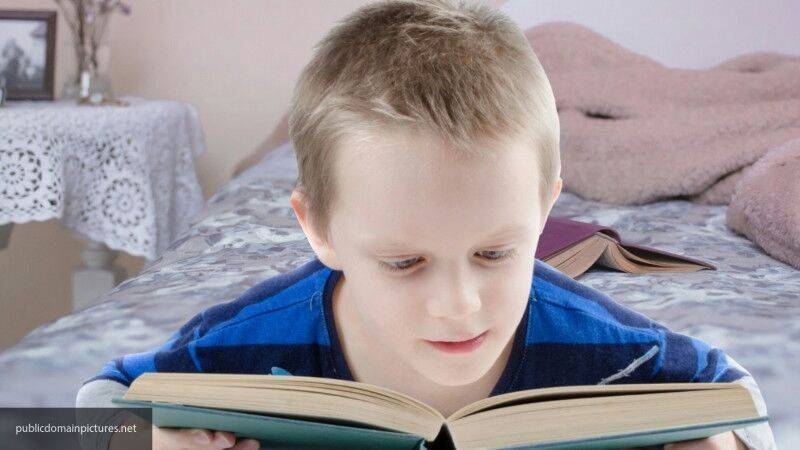 Книга Уайльда в списке чтения на лето возмутила родителей ярославских пятиклассников - inforeactor.ru - Россия