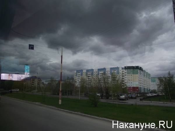 Василий Тихонов - В Нижневартовске сотрудники "экологического" подразделения мэрии облагородили растения "Сиреневой аллеи" - nakanune.ru - Нижневартовск