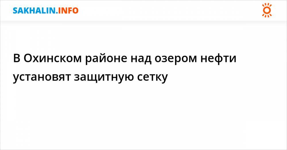 В Охинском районе над озером нефти установят защитную сетку - sakhalin.info
