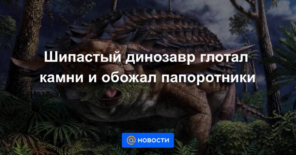 Шипастый динозавр глотал камни и обожал папоротники - news.mail.ru - Антарктида