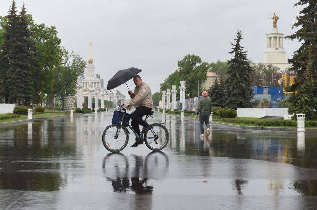 МЧС предупреждает москвичей о надвигающейся грозе с сильным ветром - aif.ru - Москва