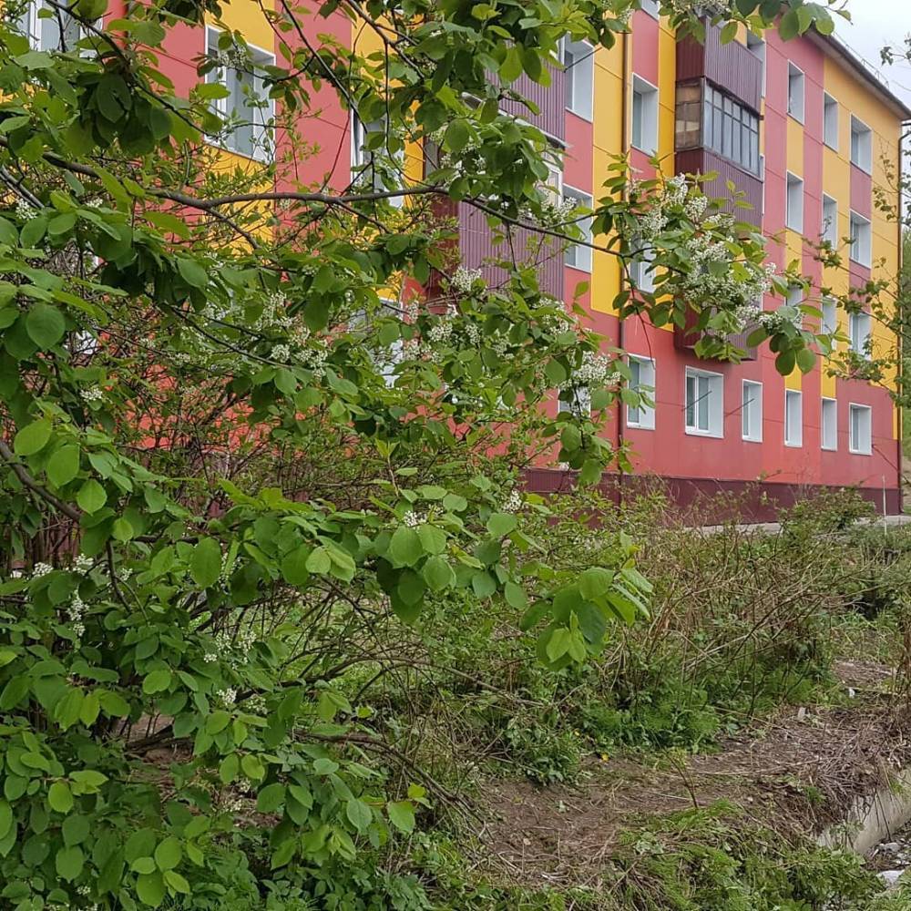 В Углегорске снесли "неправильный" забор - sakhalin.info - Углегорск