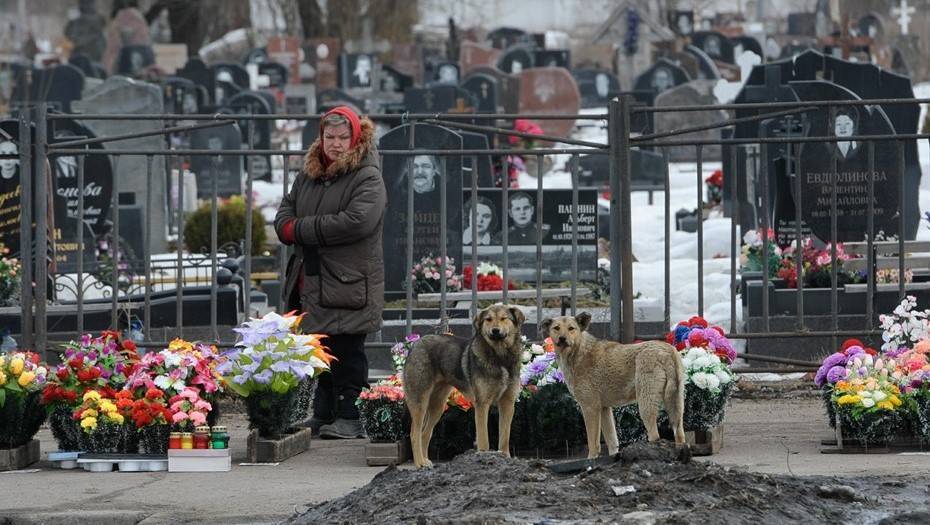Сергей Бусурин - В Великом Новгороде на Троицу закроют кладбища - dp.ru - Великий Новгород
