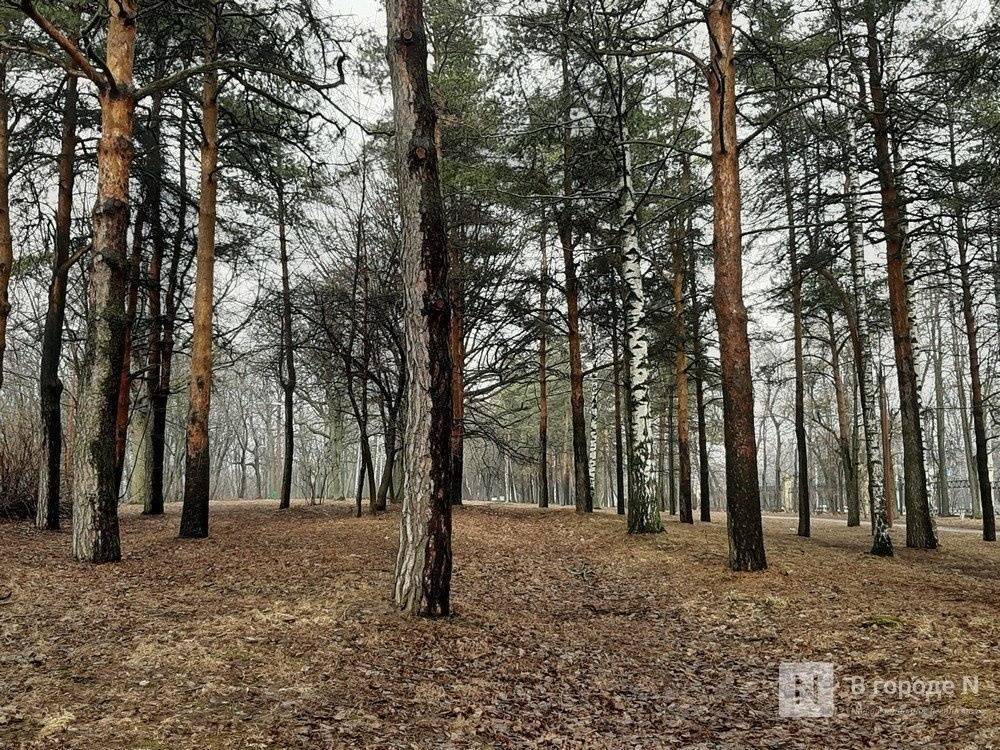 Подрядчика для благоустройства парка «Швейцария» выбирают в Нижнем Новгороде - vgoroden.ru - Швейцария - Нижний Новгород - Благоустройство