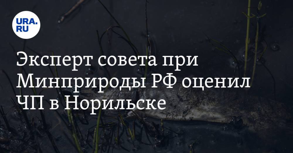 Эксперт совета при Минприроды РФ оценил ЧП в Норильске. «Таких аварий будет все больше» - ura.news - Россия - Красноярский край - Норильск