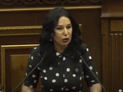 Наира Зограбян - Депутаты от правящего блока «Мой шаг» не приемлют критики в адрес Пашиняна из-за коронавируса - news.am - Армения