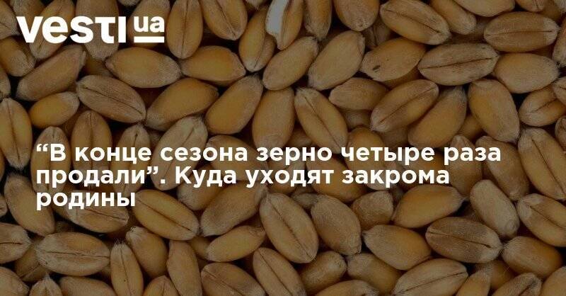 Владимир Зеленский - “В конце сезона зерно четыре раза продали”. Куда уходят закрома родины - vesti.ua - Украина