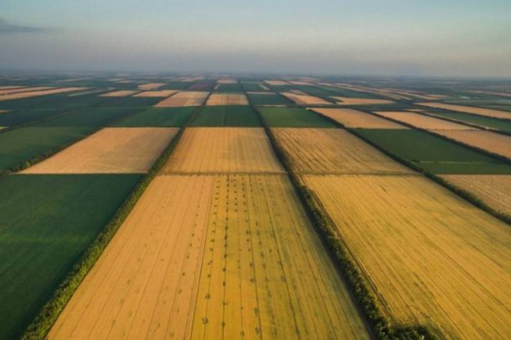Владимир Зеленский - Зеленский создал в Украине новый праздник - vkcyprus.com - Украина