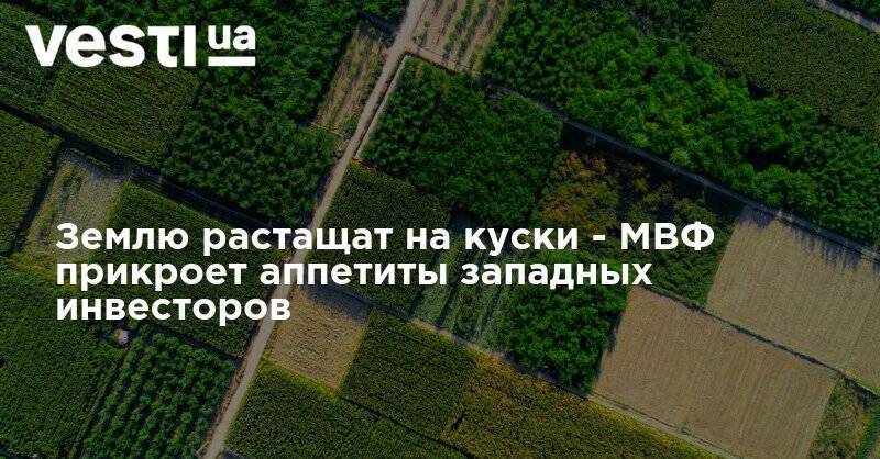 Землю растащат на куски - МВФ прикроет аппетиты западных инвесторов - vesti.ua - Украина
