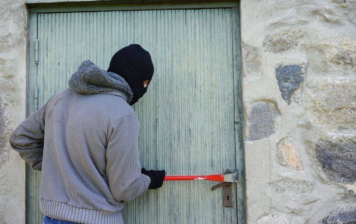 Латвийские IT-компании объединились против воров - lv.sputniknews.ru - Рига - Латвия