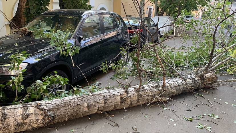 Андрей Воробьев - Сильный ветер в Москве повалил 44 дерева и повредил 25 машин - russian.rt.com - Москва - Московская обл.