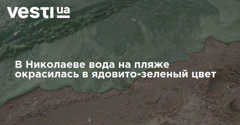 В Николаеве вода на пляже окрасилась в ядовито-зеленый цвет - vesti.ua - Николаев