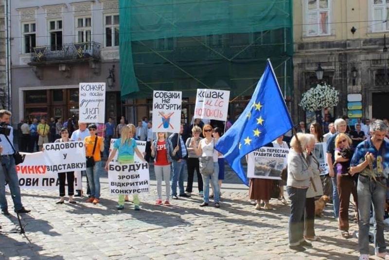 Кошак не будет спасать животных: зоозащитники Киева устроили протест - vesti.ua - Киев