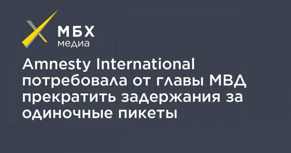 Владимир Колокольцев - Amnesty International потребовала от главы МВД прекратить задержания за одиночные пикеты - mbk.news - Россия - Санкт-Петербург