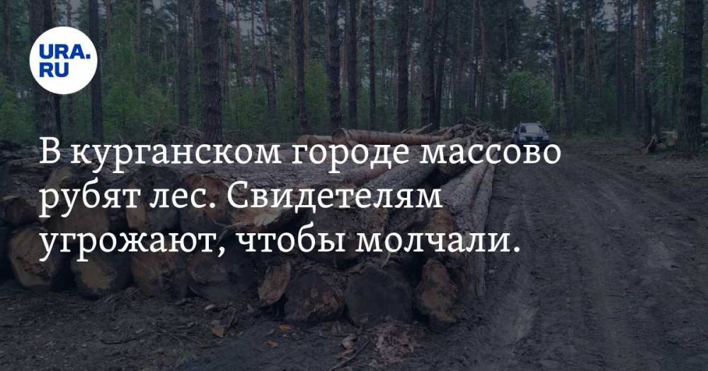 В курганском городе массово рубят лес. Свидетелям угрожают, чтобы молчали. ФОТО - ura.news - Россия - Курганская обл. - Шадринск