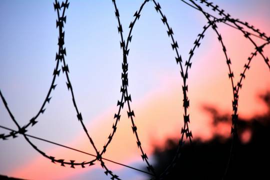 Суд изменил приговор определённой в мужское СИЗО россиянке-трансгендеру - versia.ru - Брянск