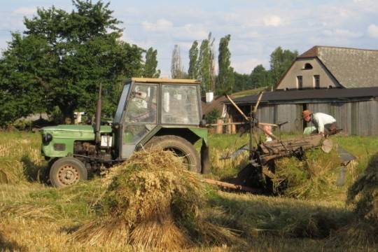 Российским фермерам не помогла господдержка - versia.ru