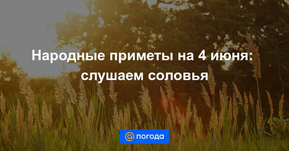 Екатерина Гура - Народные приметы на 4 июня: слушаем соловья - news.mail.ru