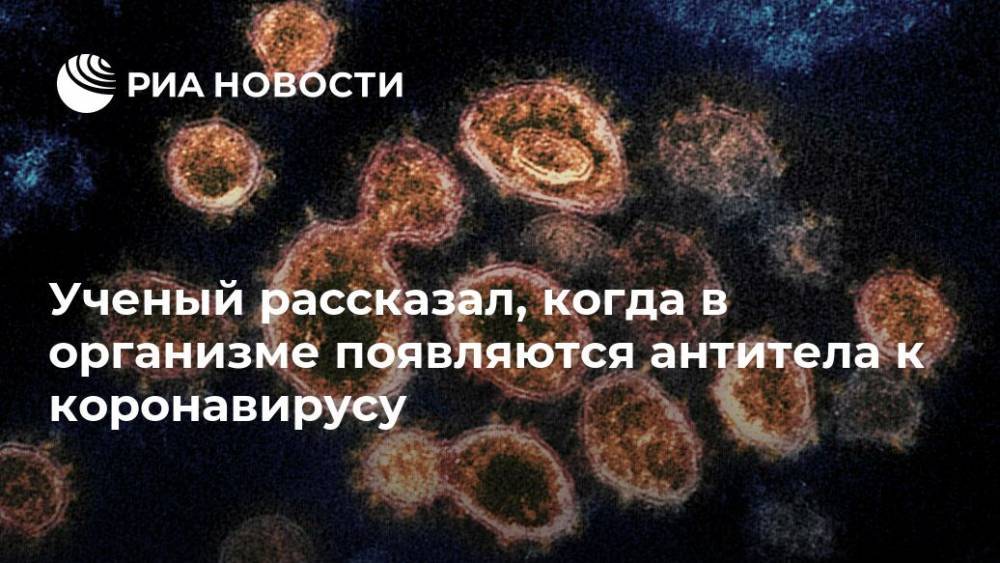 Ученый рассказал, когда в организме появляются антитела к коронавирусу - ria.ru - Москва - Иркутск