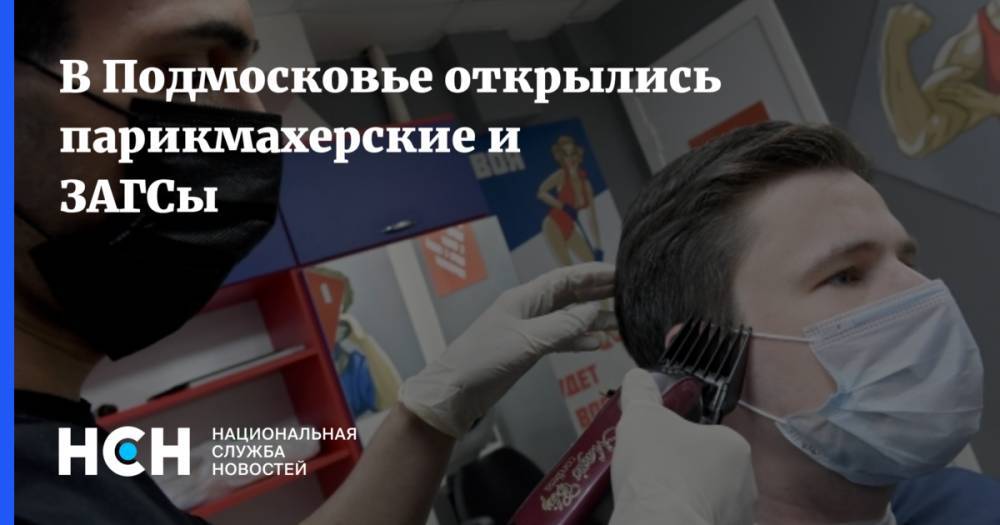 Андрей Воробьев - В Подмосковье открылись парикмахерские и ЗАГСы - nsn.fm - Московская обл.
