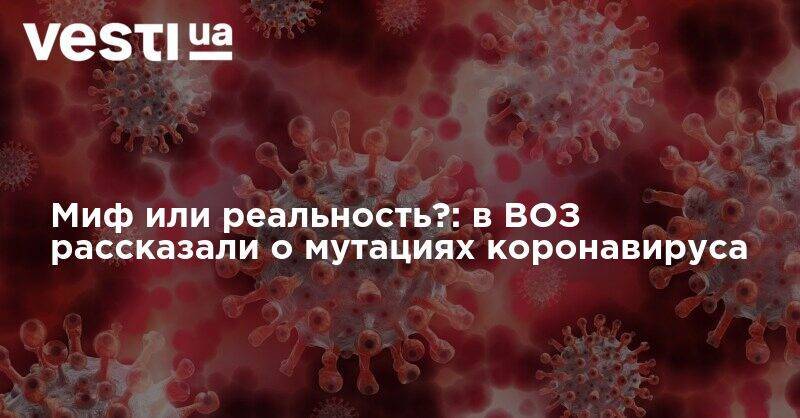 Миф или реальность?: в ВОЗ рассказали о мутациях коронавируса - vesti.ua - Китай - New York