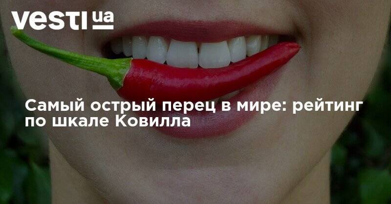 Самый острый перец в мире: рейтинг по шкале Ковилла - vesti.ua