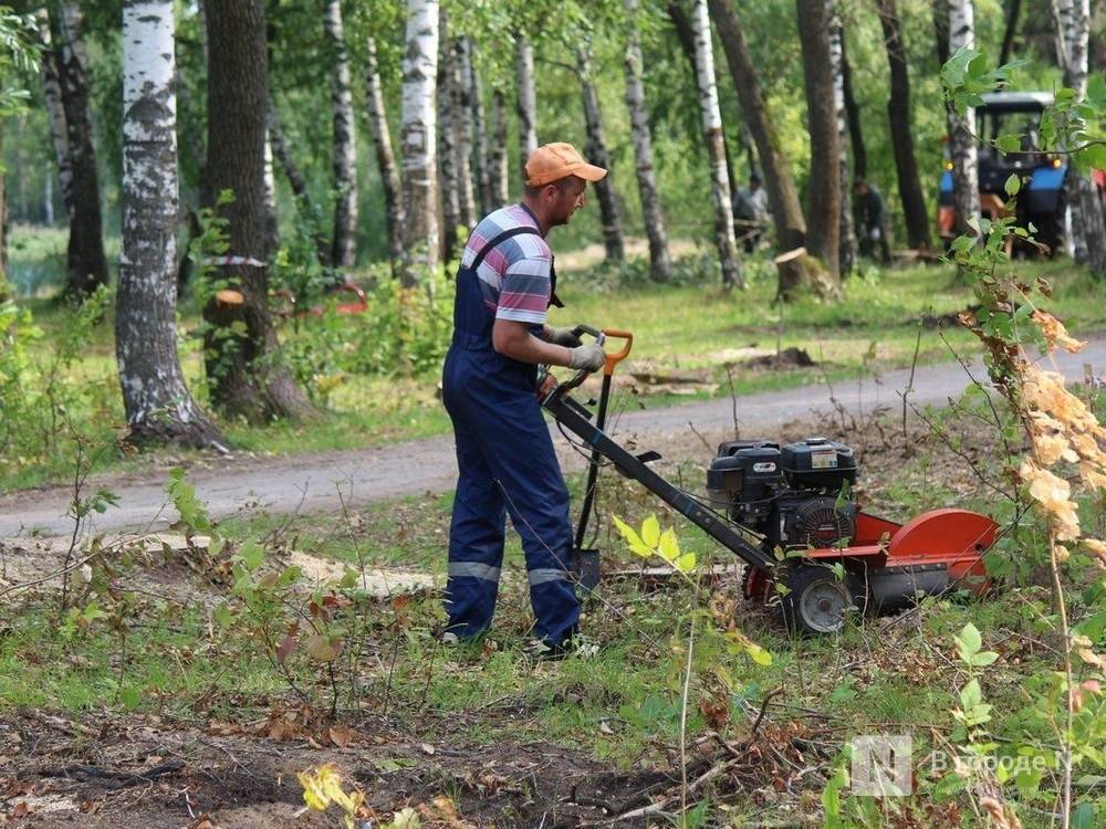 Глеб Никитин - Нижегородцы обеспокоены будущим двух скверов в Ленинском районе - vgoroden.ru - Нижегородская обл. - район Ленинский - Благоустройство