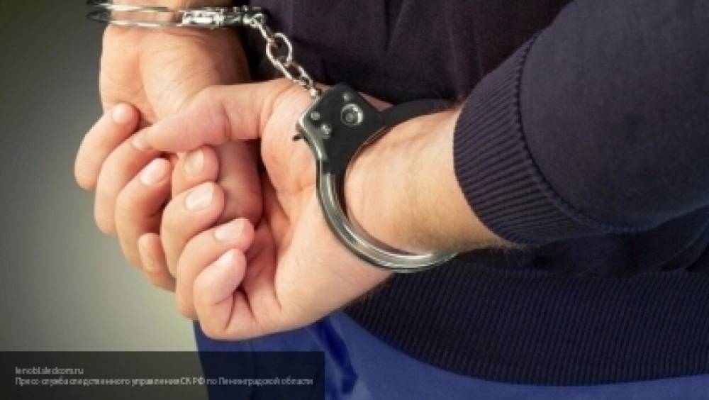 СК в Крыму опубликовал кадры допроса обвиняемого в убийстве и изнасиловании ребенка - nation-news.ru - Россия - Крым