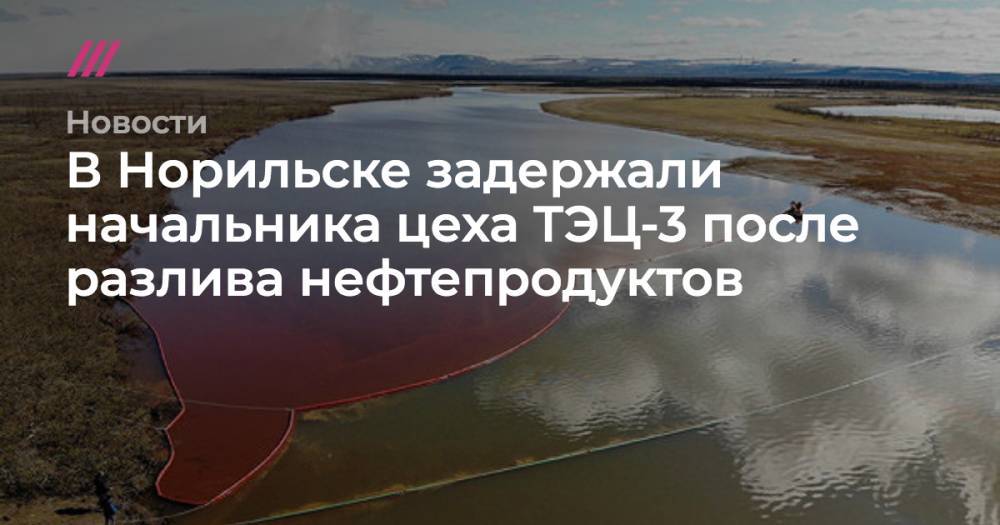 Владимир Путин - В Норильске задержали начальника цеха ТЭЦ-3 после разлива нефтепродуктов - tvrain.ru - Россия - Норильск
