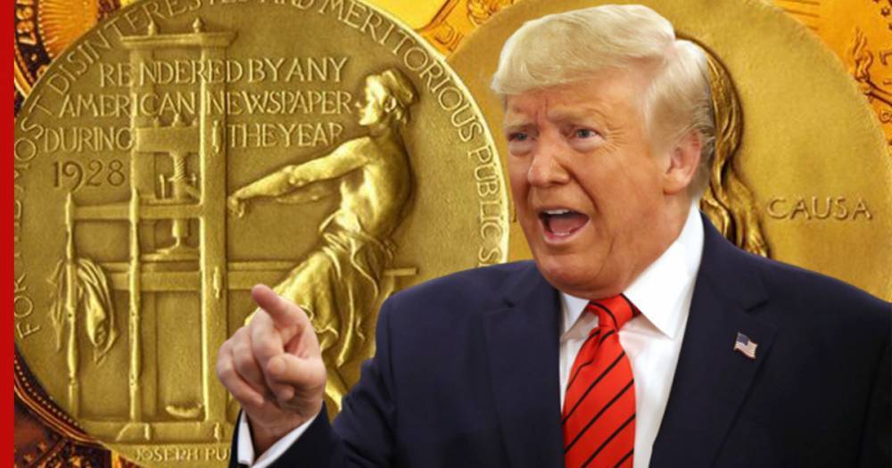 Дональд Трамп - Джо Байден - Трамп обвинил Байдена в бездействии против расизма - profile.ru - США
