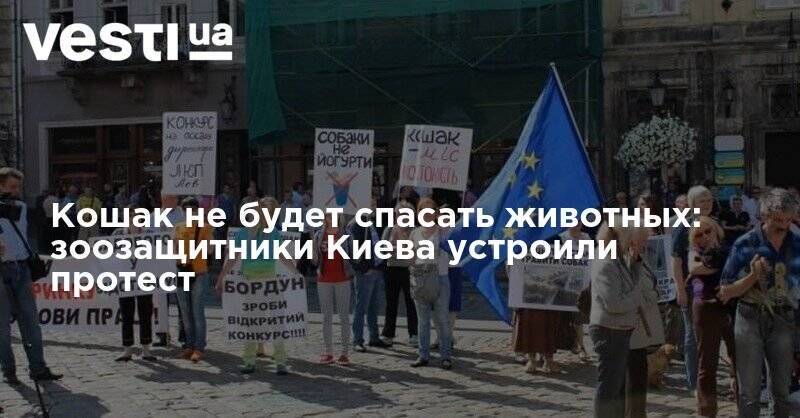 Кошак не будет спасать животных: зоозащитники Киева устроили протест - vesti.ua - Киев