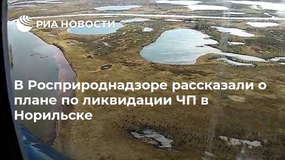 Светлана Радионова - В Росприроднадзоре раскрыли план по ликвидации последствий ЧП в Норильске - ria.ru - Москва - Красноярский край - Норильск
