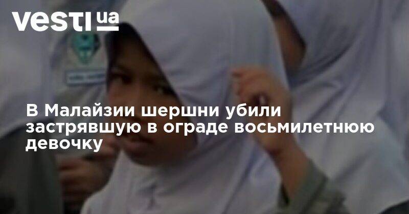 В Малайзии шершни убили застрявшую в ограде восьмилетнюю девочку - vesti.ua - Франция - Малайзия