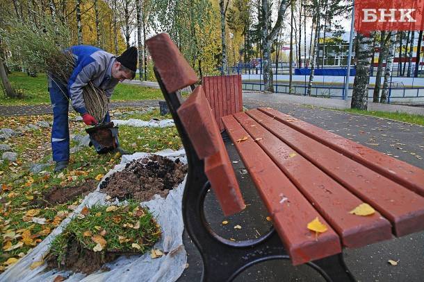 Жителям Коми бесплатно раздадут саженцы деревьев - bnkomi.ru - Россия - респ. Коми