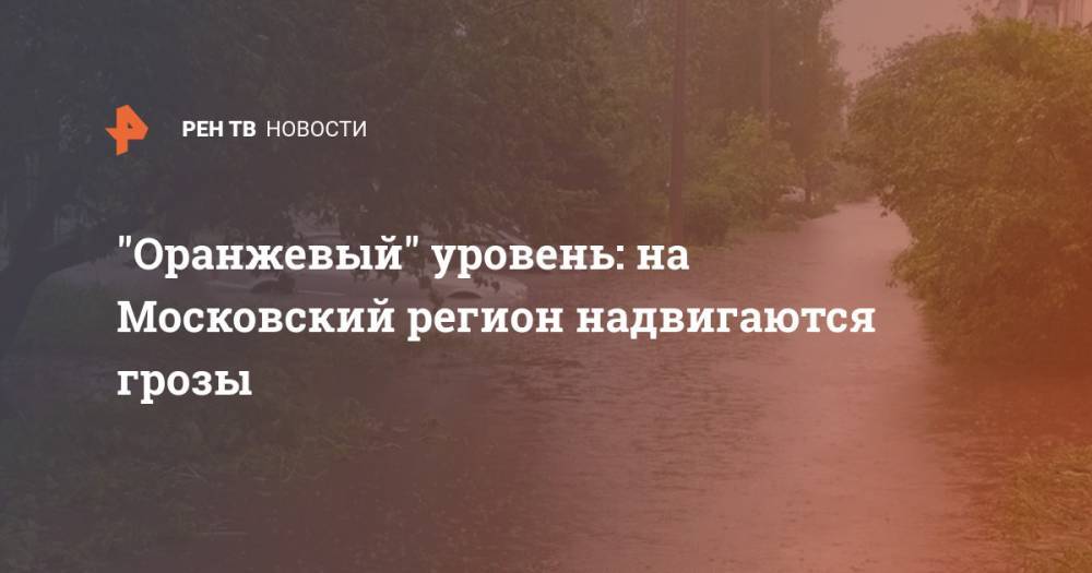 Гидрометцентр Роман Вильфанд - "Оранжевый" уровень: на Московский регион надвигаются грозы - ren.tv - Москва - Россия - Московская обл.