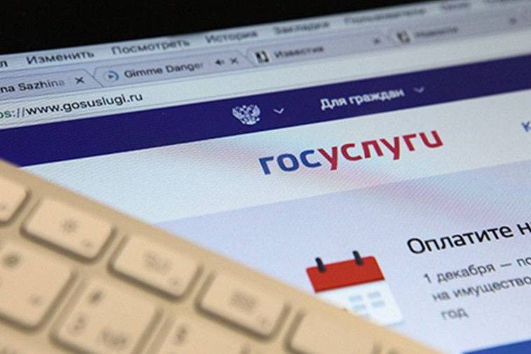 Максут Шадаев - Минкомсвязь сообщила о готовности к запуску формы для голосования по Конституции - vm.ru - Россия - Конституция