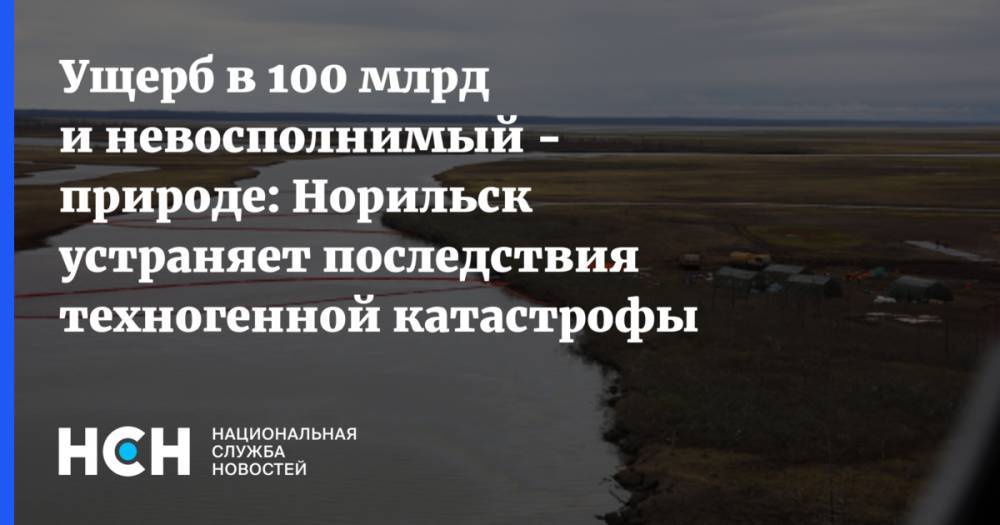 Ущерб в 100 млрд и невосполнимый - природе: Норильск устраняет последствия техногенной катастрофы - nsn.fm - Россия - Норильск