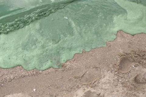 Вода на пляже Николаева окрасилась в кислотно-зеленый цвет - mignews.com.ua - Николаев