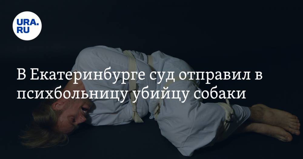 В Екатеринбурге суд отправил в психбольницу убийцу собаки - ura.news - Россия - Екатеринбург - Свердловская обл.