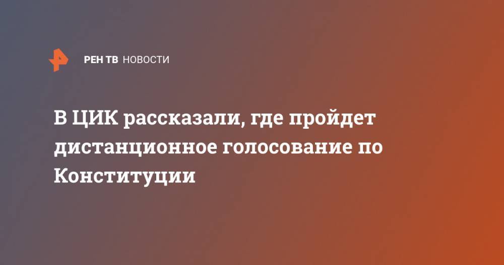 Элла Памфилова - В ЦИК рассказали, где пройдет дистанционное голосование по Конституции - ren.tv - Россия