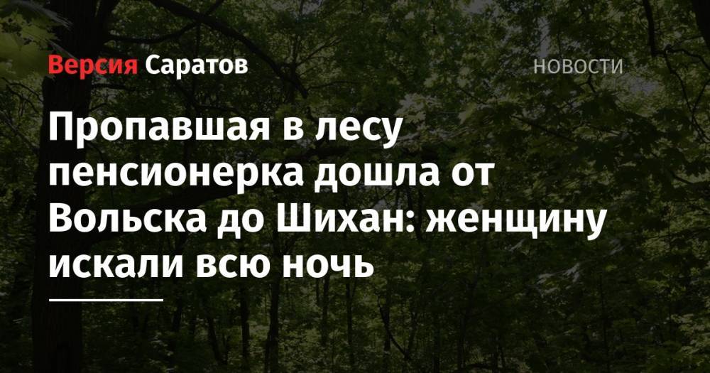 Юрий Юрин - Пропавшая в лесу пенсионерка дошла от Вольска до Шихан: женщину искали всю ночь - nversia.ru - Саратовская обл. - Вольск - район Вольский
