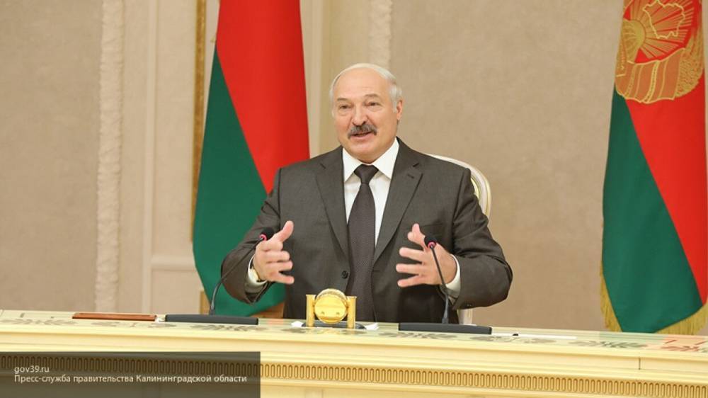 Александр Лукашенко - Станислав Шушкевич - Валерий Цепкало - Лукашенко заявил о "мертворожденных поросятах", рассуждая о предвыборной кампании Цепкало - politros.com - Белоруссия