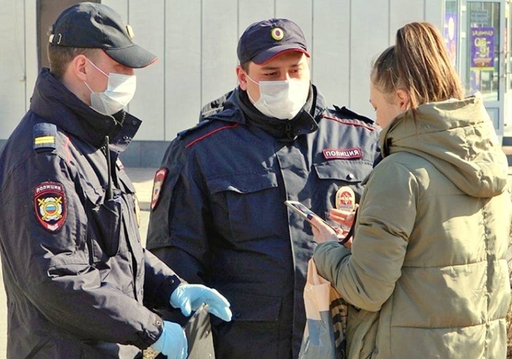 В Москве ввели новый вид пропуска - newsland.com - Москва