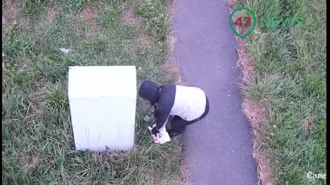 Дорожный комитет намерен привлечь к ответственности "светофорного маньяка" в Ломоносовском районе - piter.tv