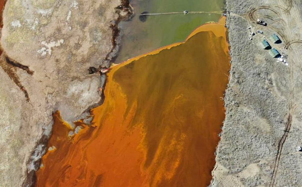 Greenpeace: Реальная сумма ущерба от ЧП в Норильске составляет 10,2 млрд рублей - theins.ru - Норильск