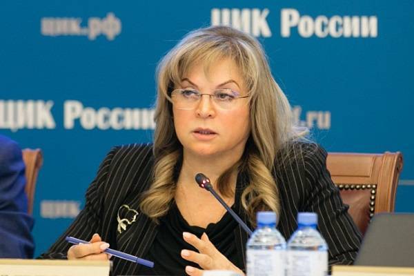 Элла Памфилова - Проголосовать дистанционно по поправкам в Конституцию можно будет на отдельном портале - abnews.ru