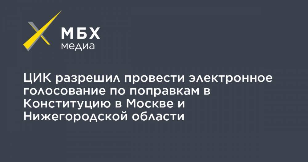 Владимир Путин - Элла Памфилова - ЦИК разрешил провести электронное голосование по поправкам в Конституцию в Москве и Нижегородской области - mbk.news - Москва - Красноярский край - Санкт-Петербург - Нижегородская обл. - Карелия