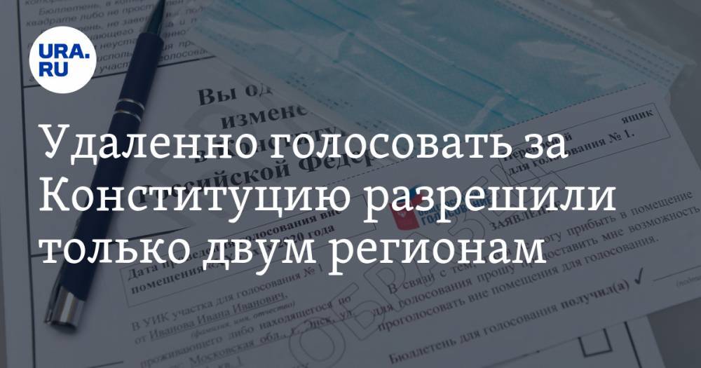 Элла Памфилова - Удаленно голосовать за Конституцию разрешили только двум регионам - ura.news - Москва - Россия - Нижегородская обл.