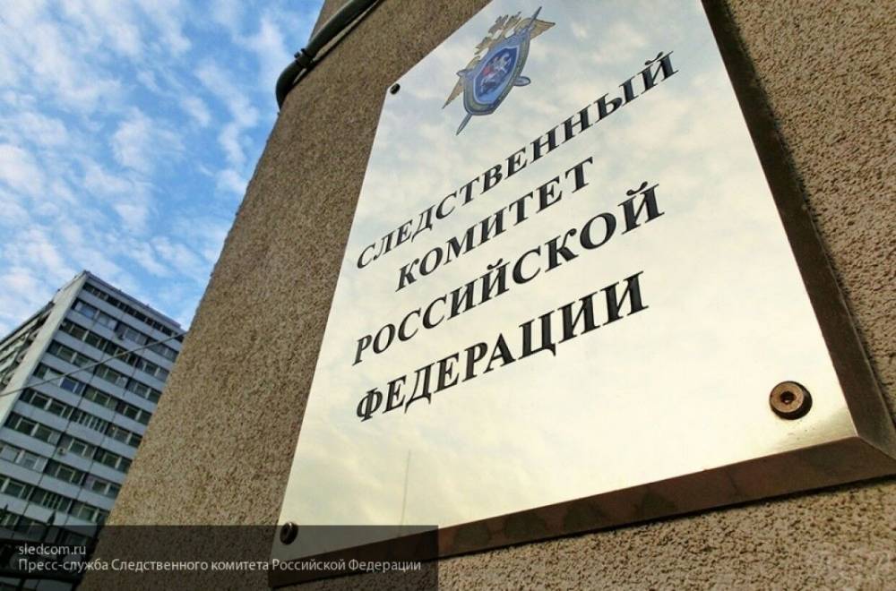 Алексей Навальный - Илья Ремесло - СК обвинил жителей Казани и Перми в реабилитации нацизма - polit.info - Россия - Пермь - Казань