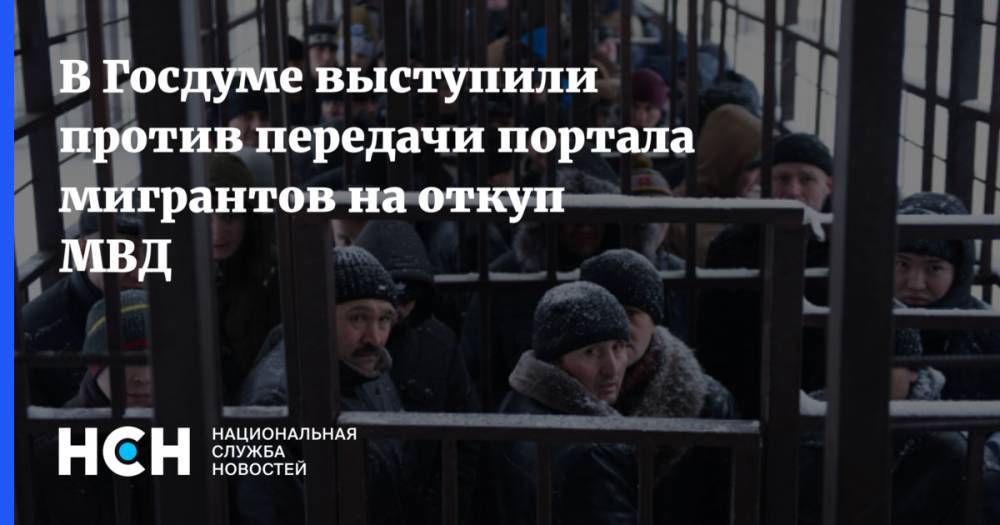 В Госдуме выступили против передачи портала мигрантов на откуп МВД - nsn.fm - Россия